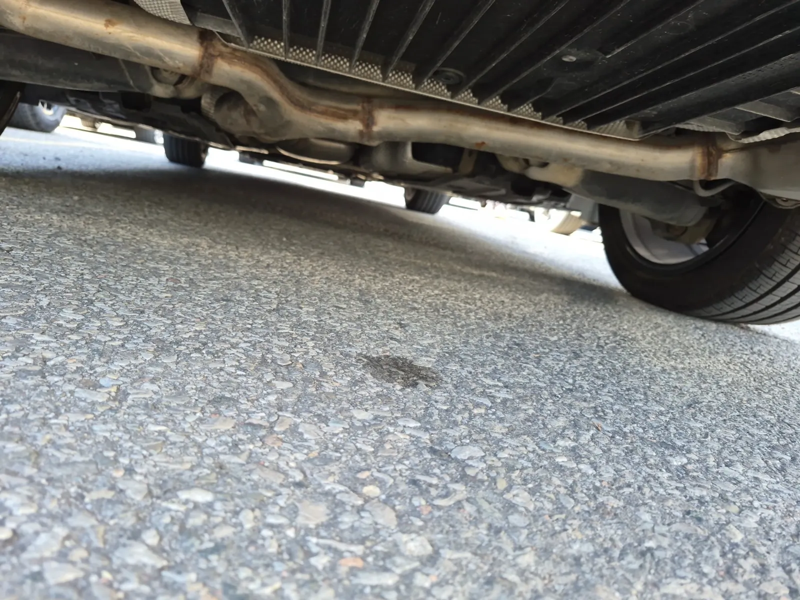 Undercarriage - Rear Photo