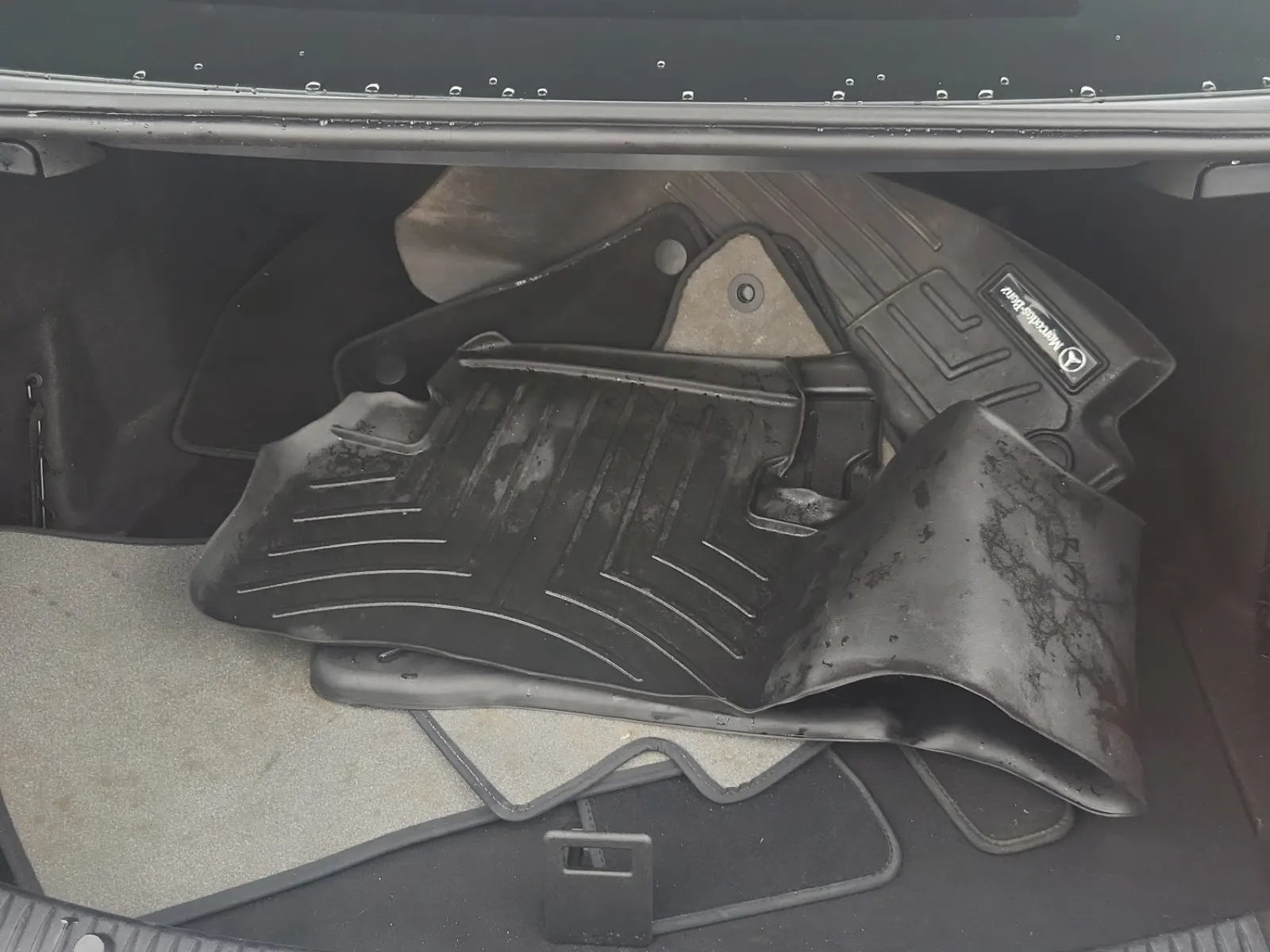 Cargo Area Photo