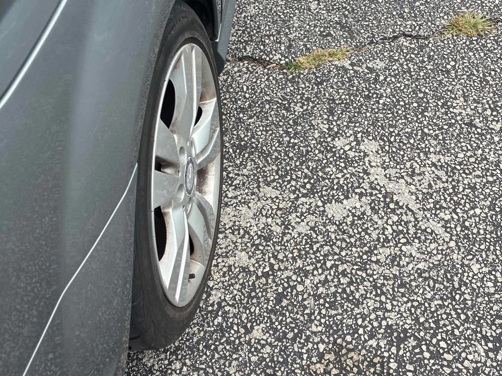 Additional Photo