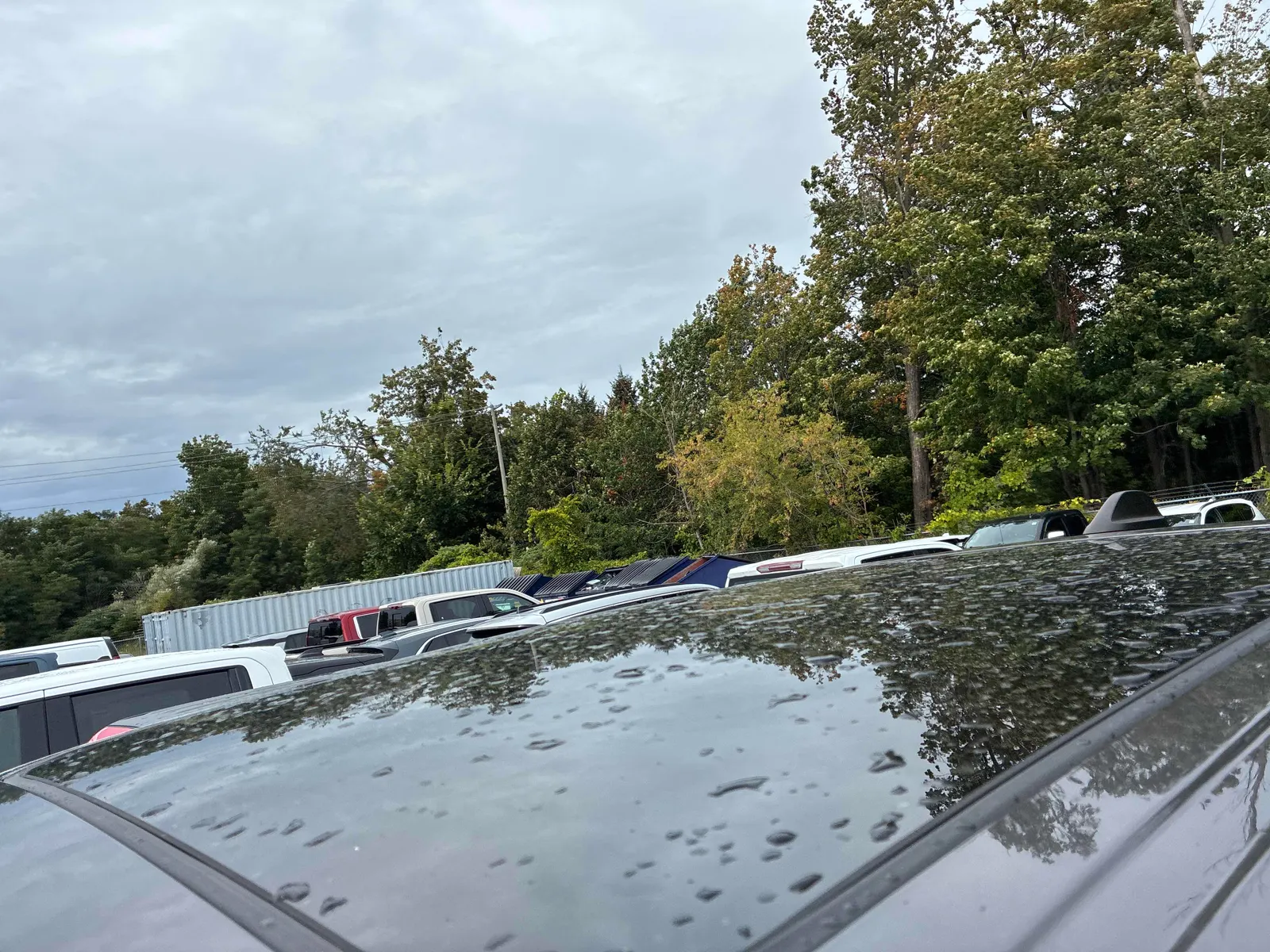 Additional Photo