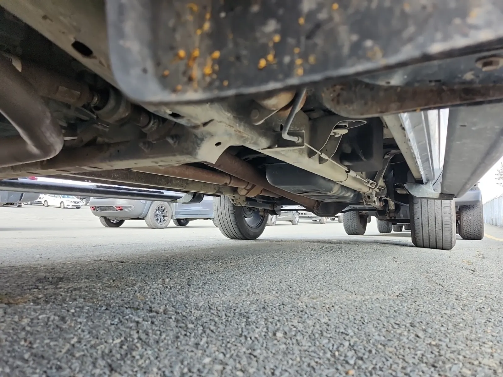 Undercarriage - Driver Photo