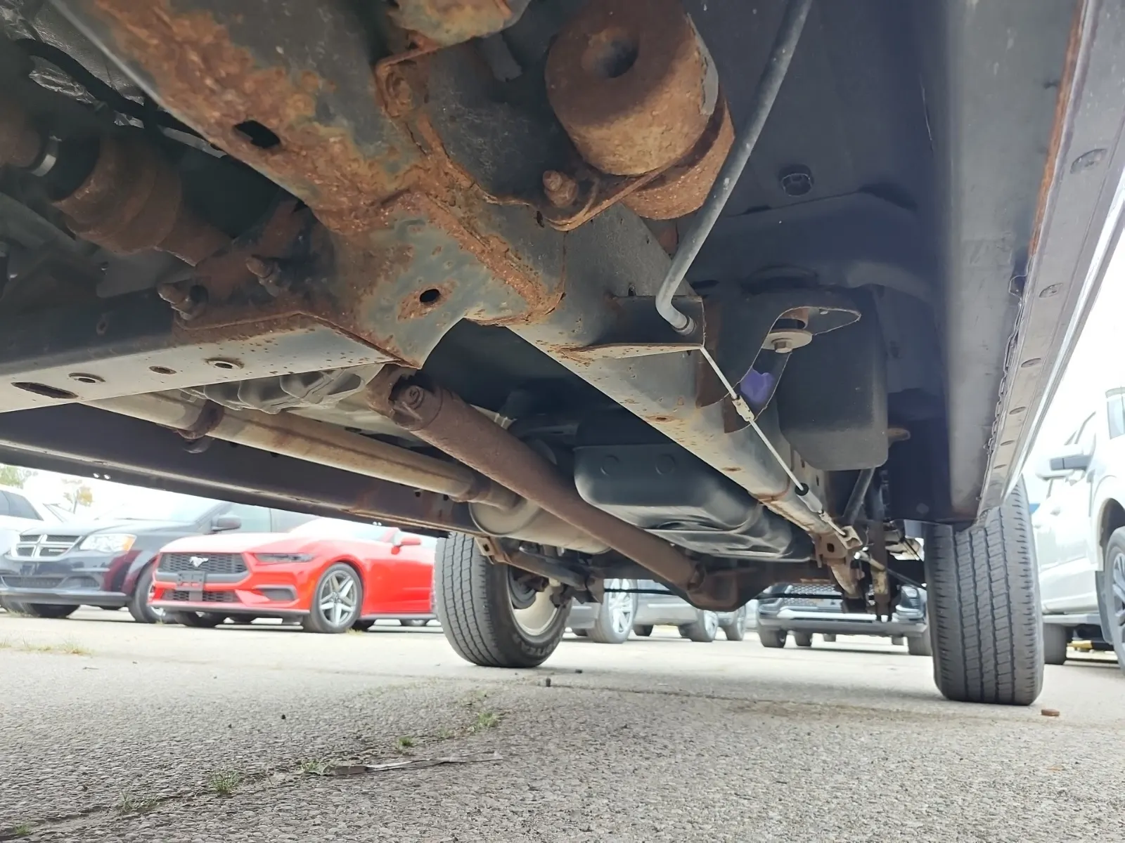 Undercarriage - Driver Photo
