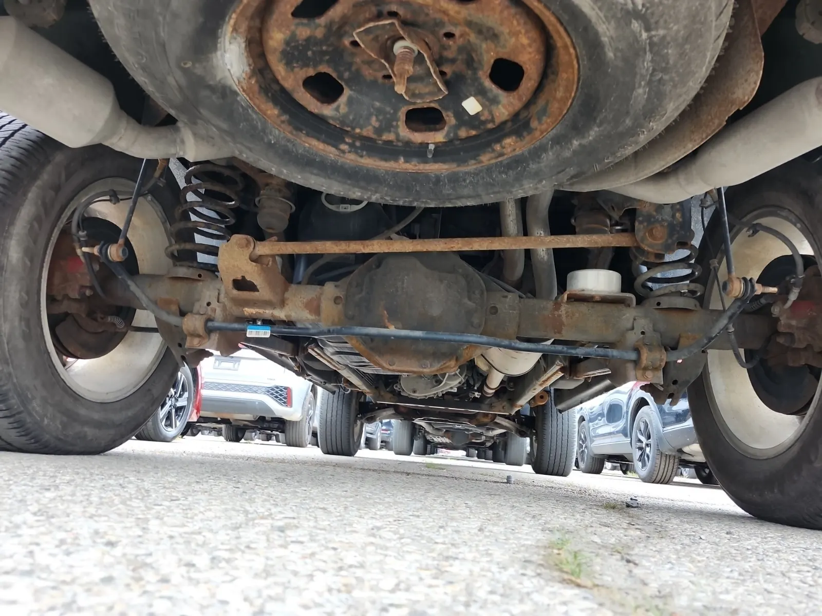 Undercarriage - Rear Photo