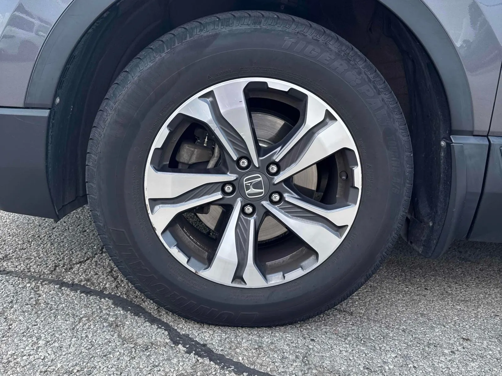 Tire