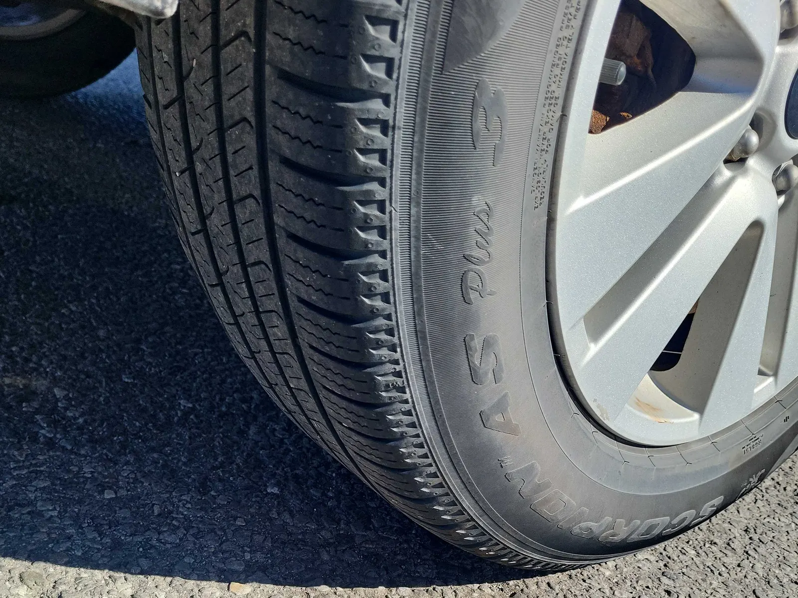 Tire
