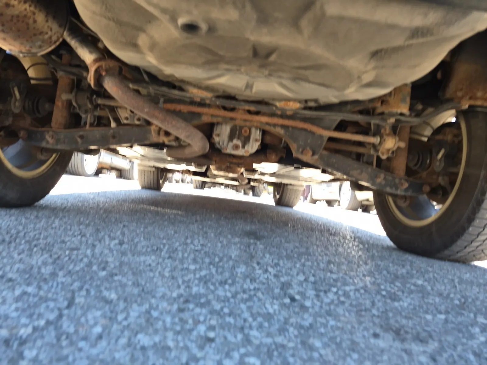 Undercarriage - Rear Photo