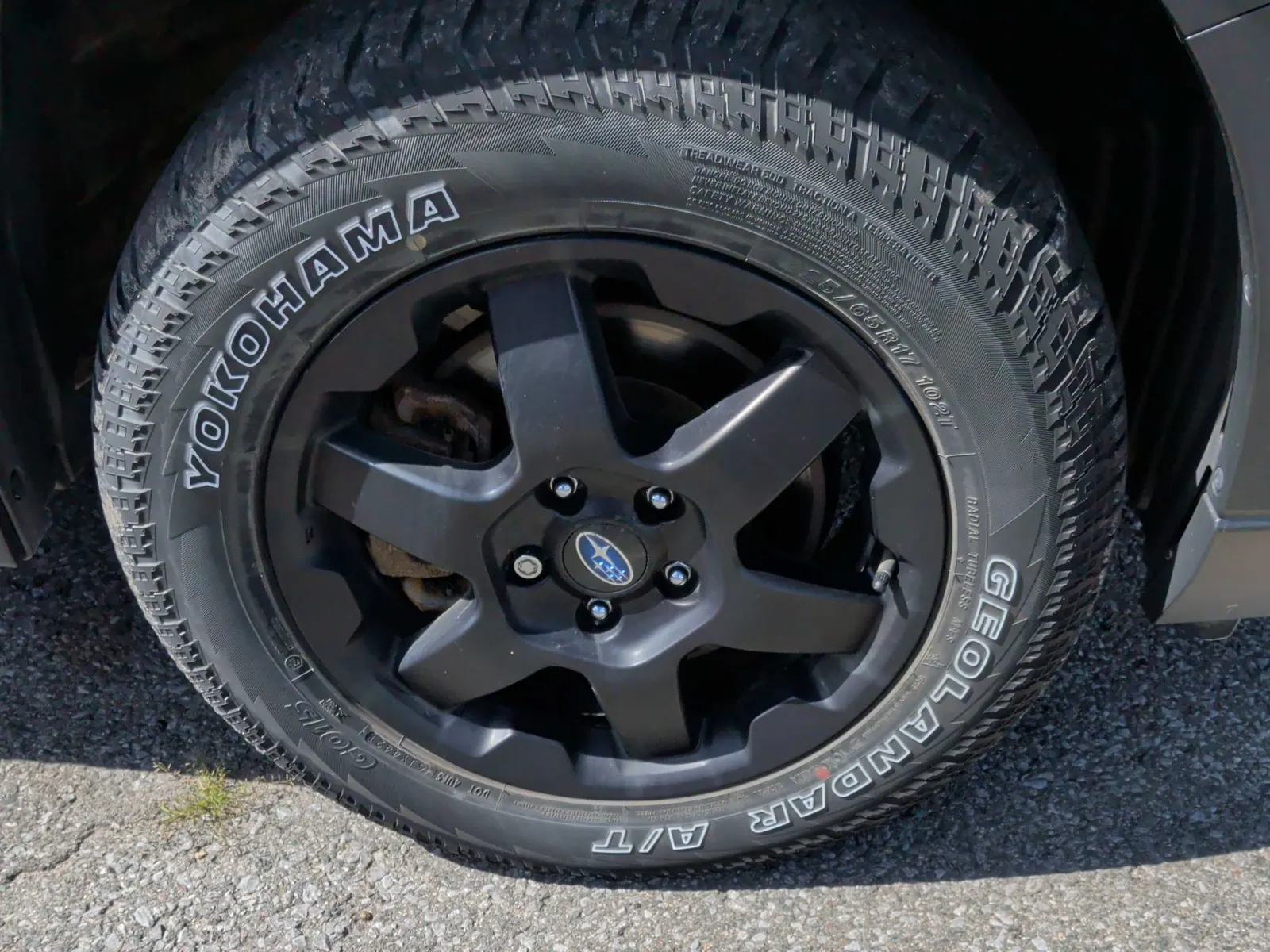 Tire