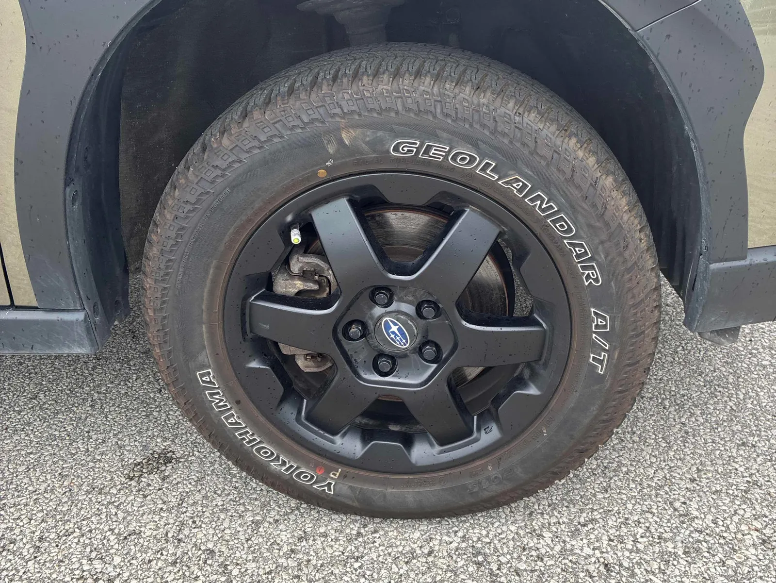 Tire