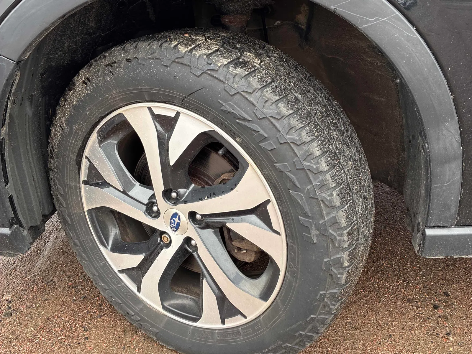 Tire