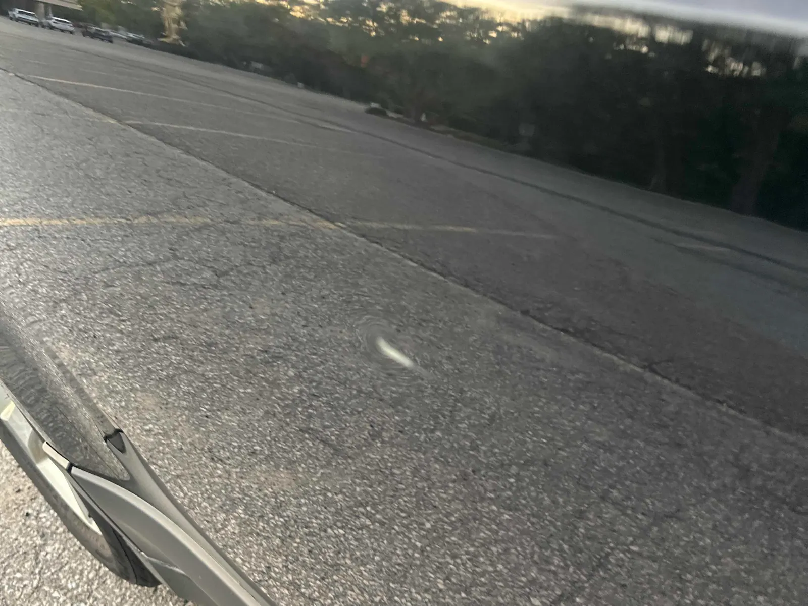 Additional Photo