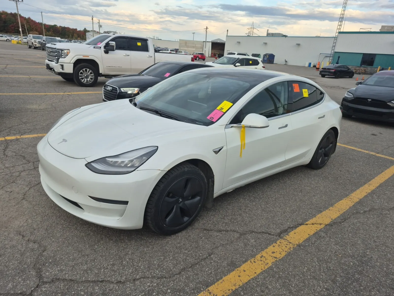 2019 Tesla Model 3