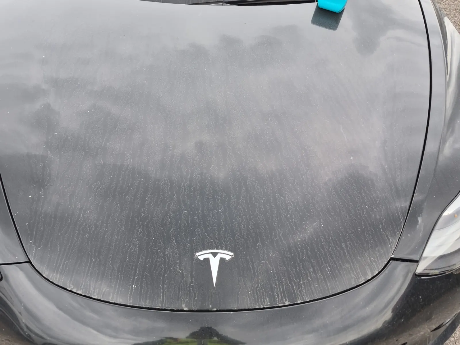 Emission Sticker Photo