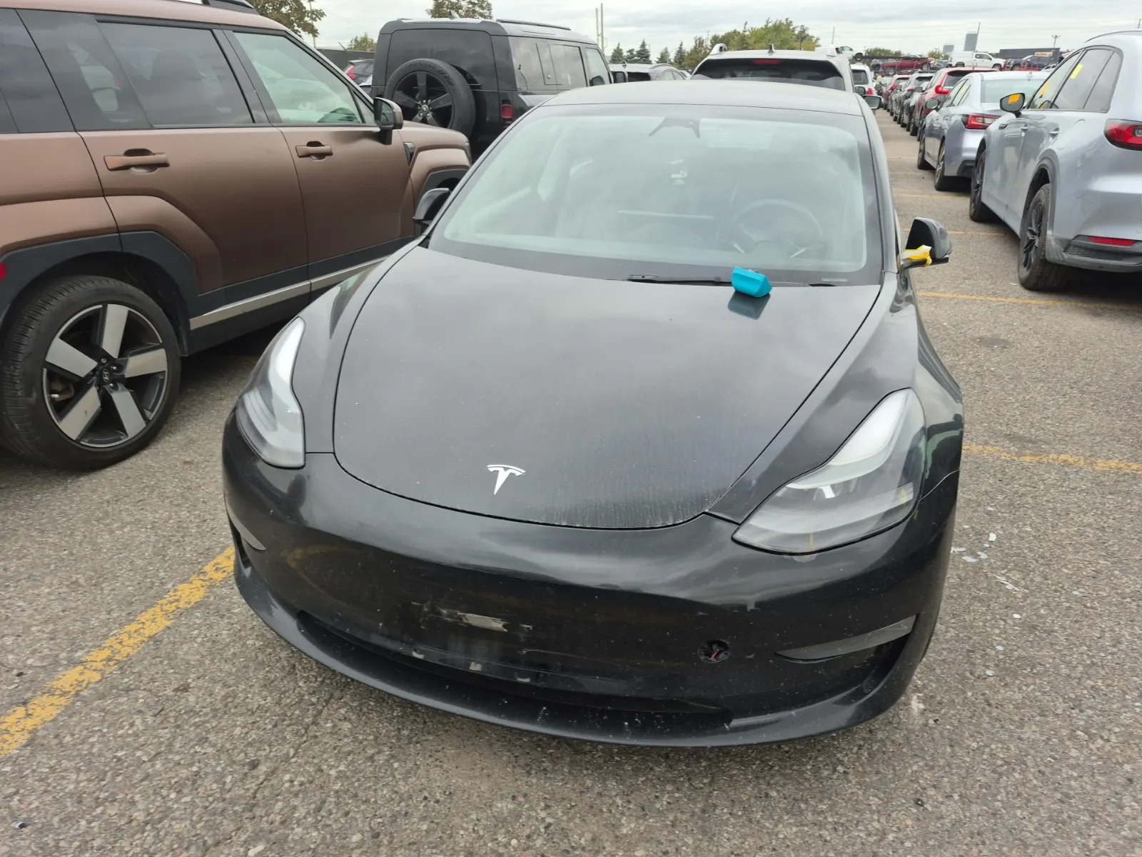 Full Front Photo