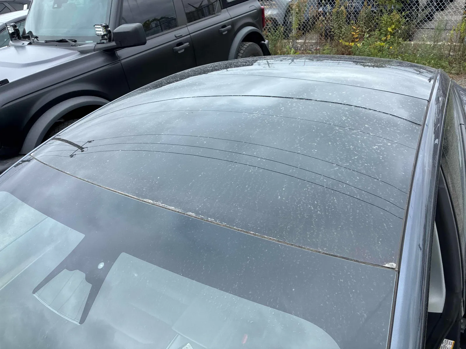 Additional Photo