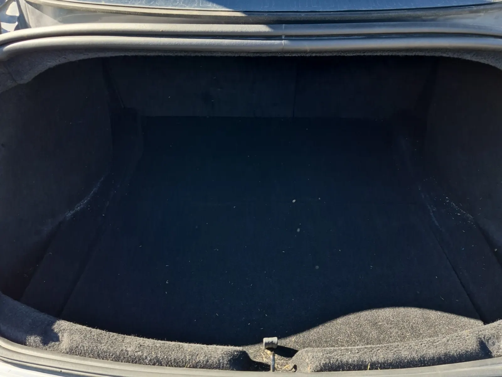 Cargo Area Photo