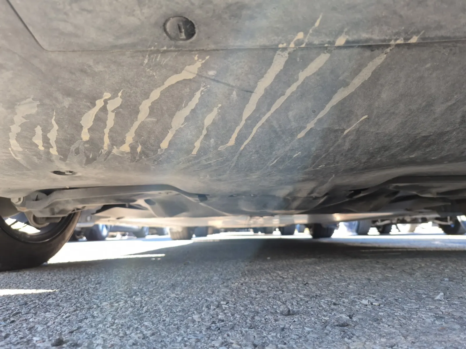 Undercarriage - Rear Photo
