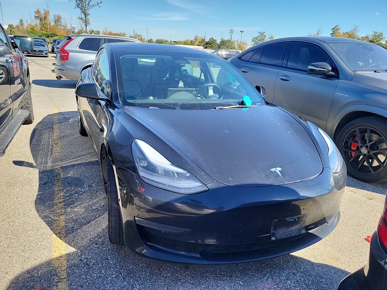 Full Front Photo