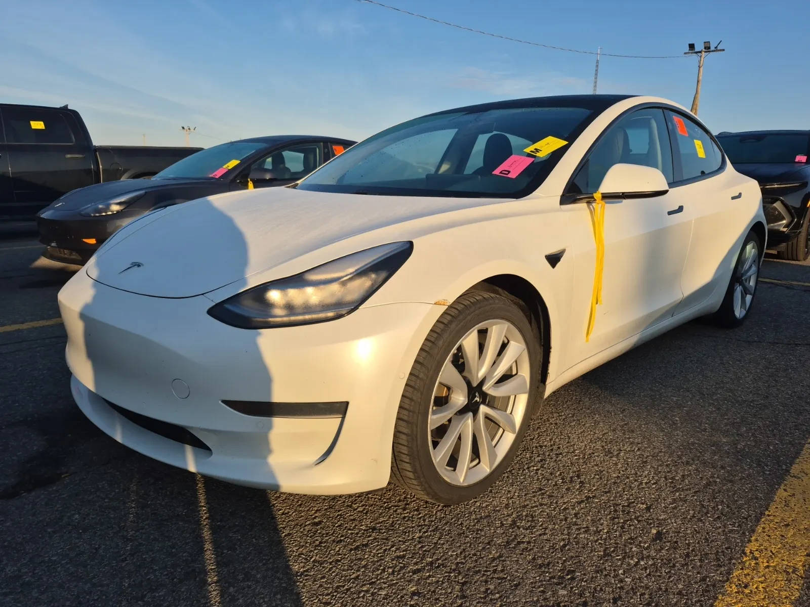 2020 Tesla Model 3