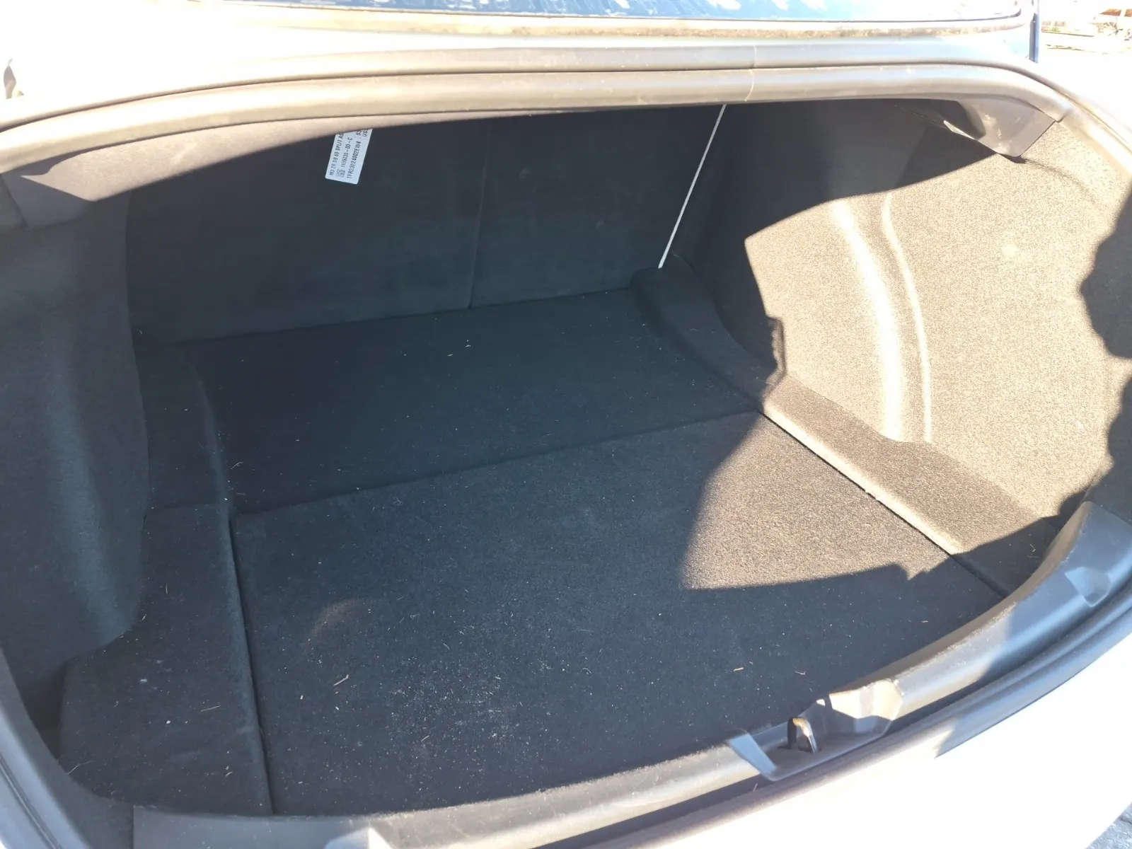 Cargo Area Photo