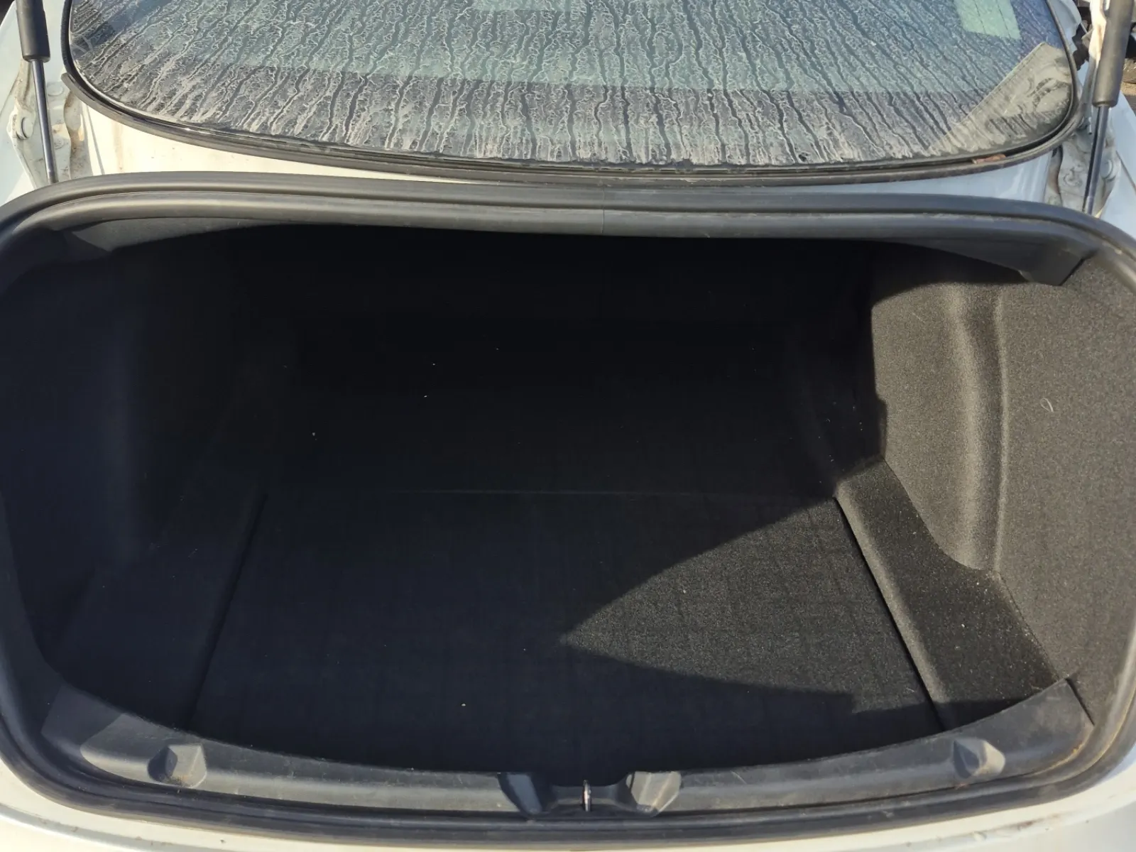 Cargo Area Photo