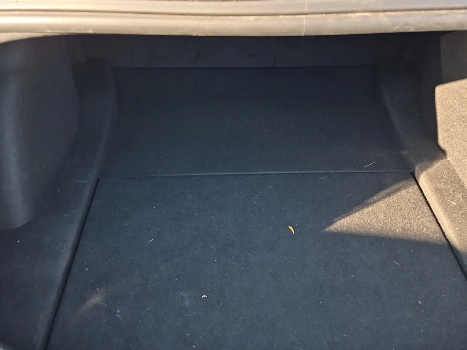 Cargo Area Photo