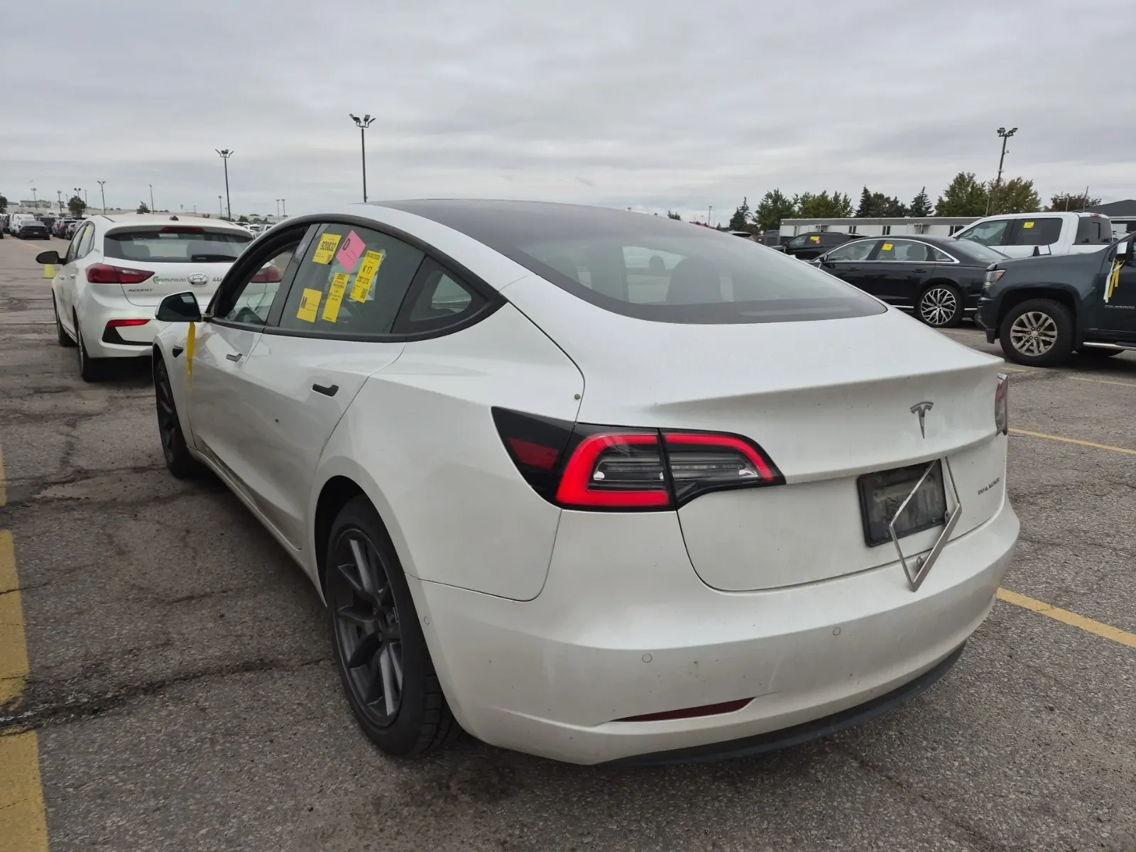 Driver Rear 3/4 Photo