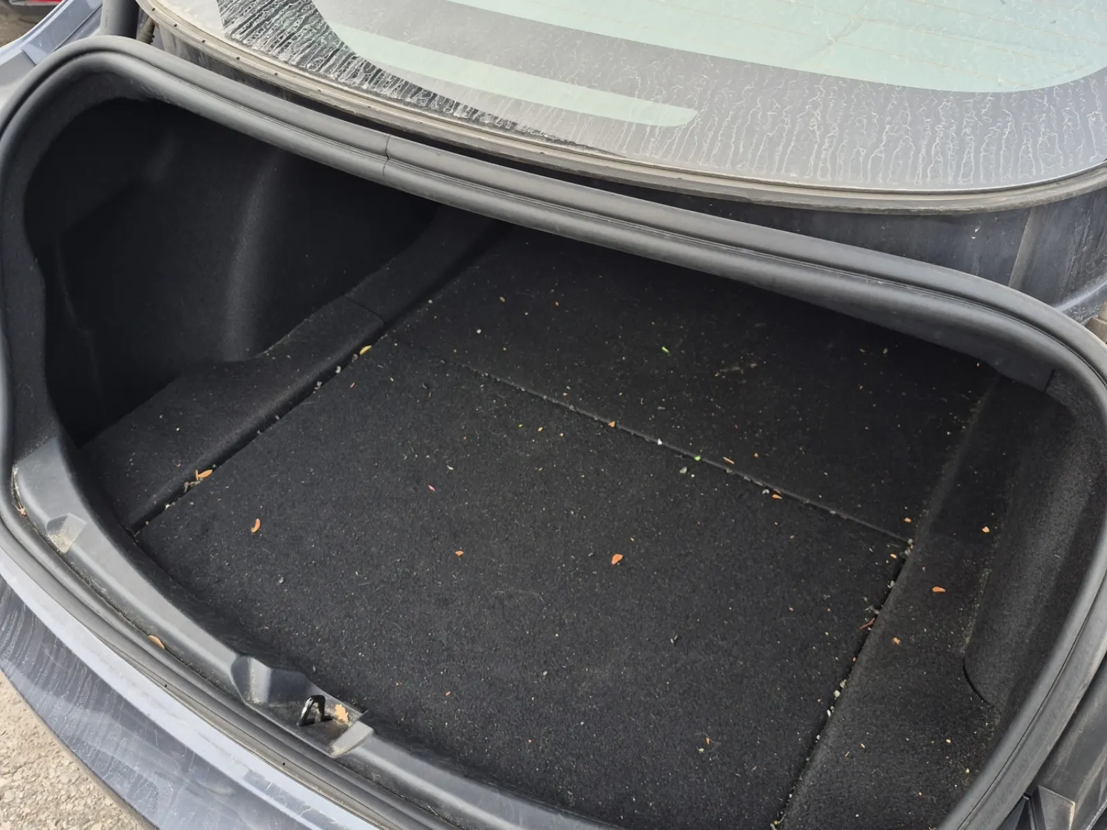 Cargo Area Photo