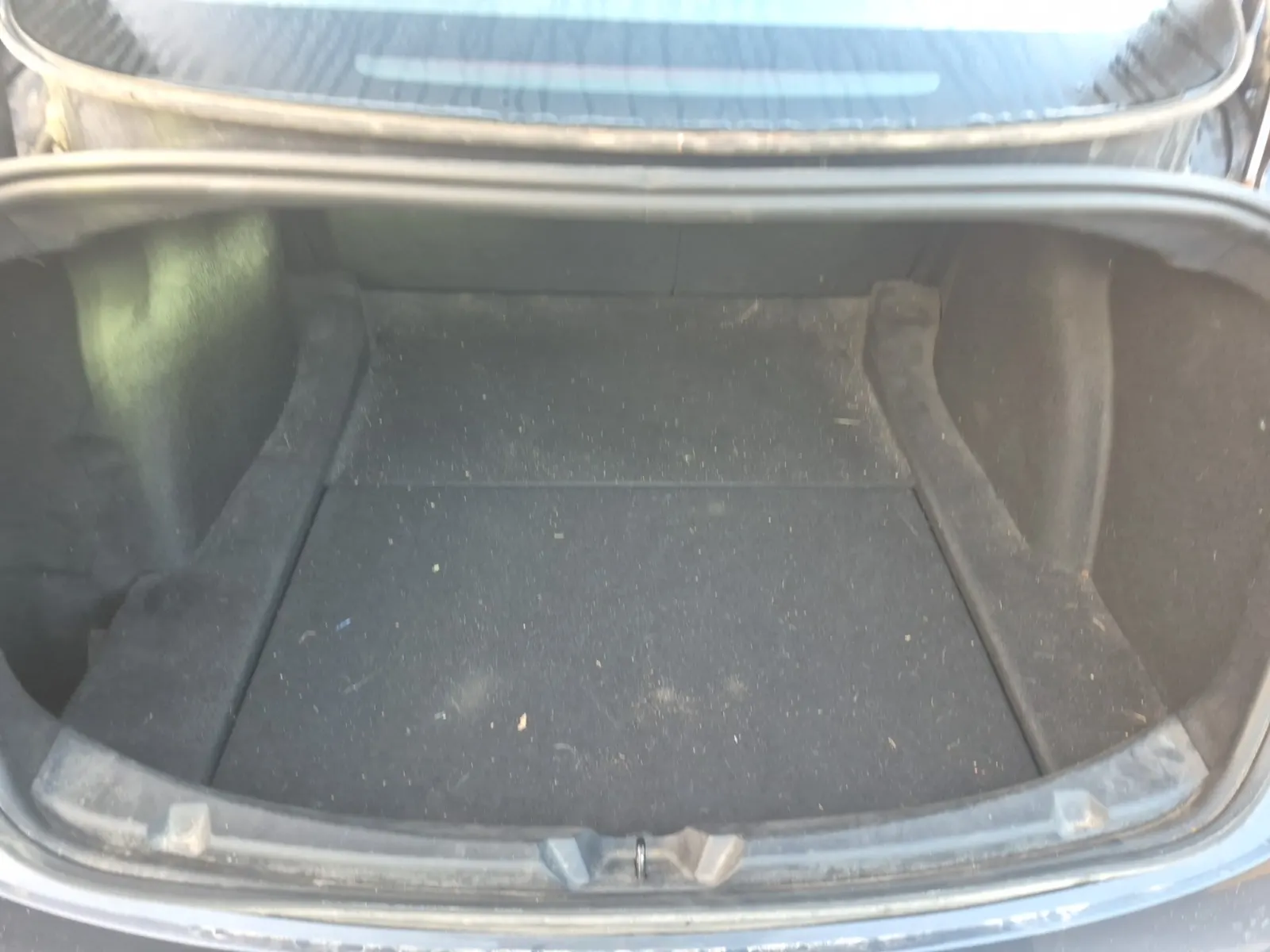 Cargo Area Photo