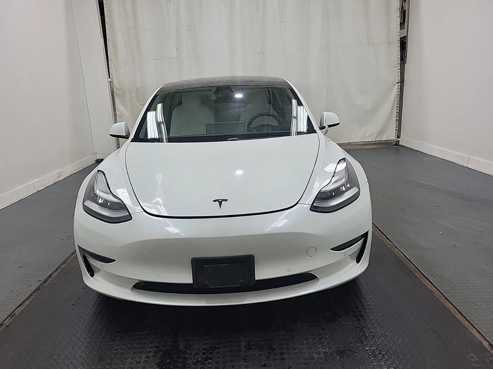 Full Front Photo