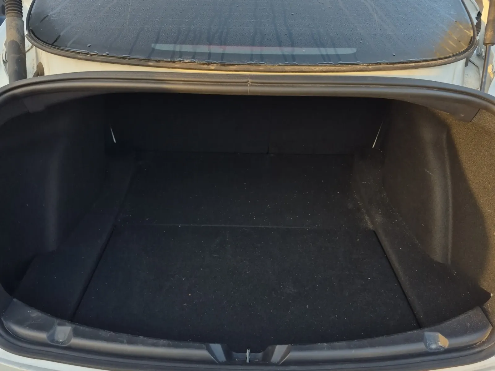 Cargo Area Photo