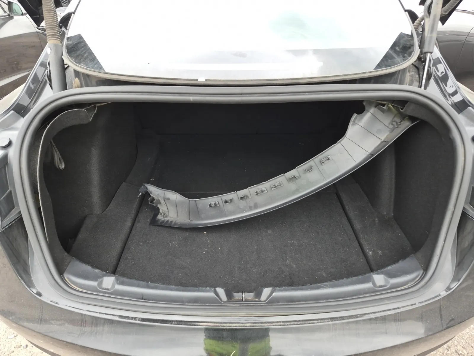 Cargo Area Photo