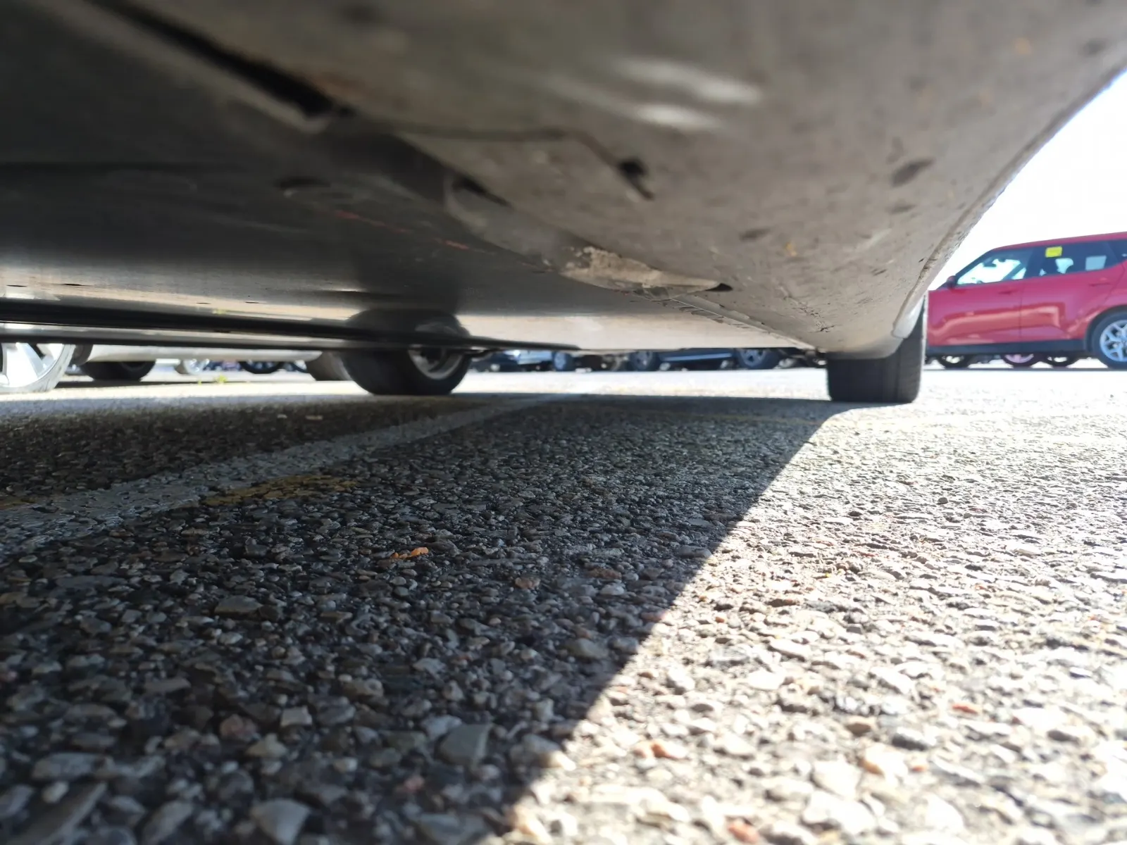 Undercarriage - Driver Photo