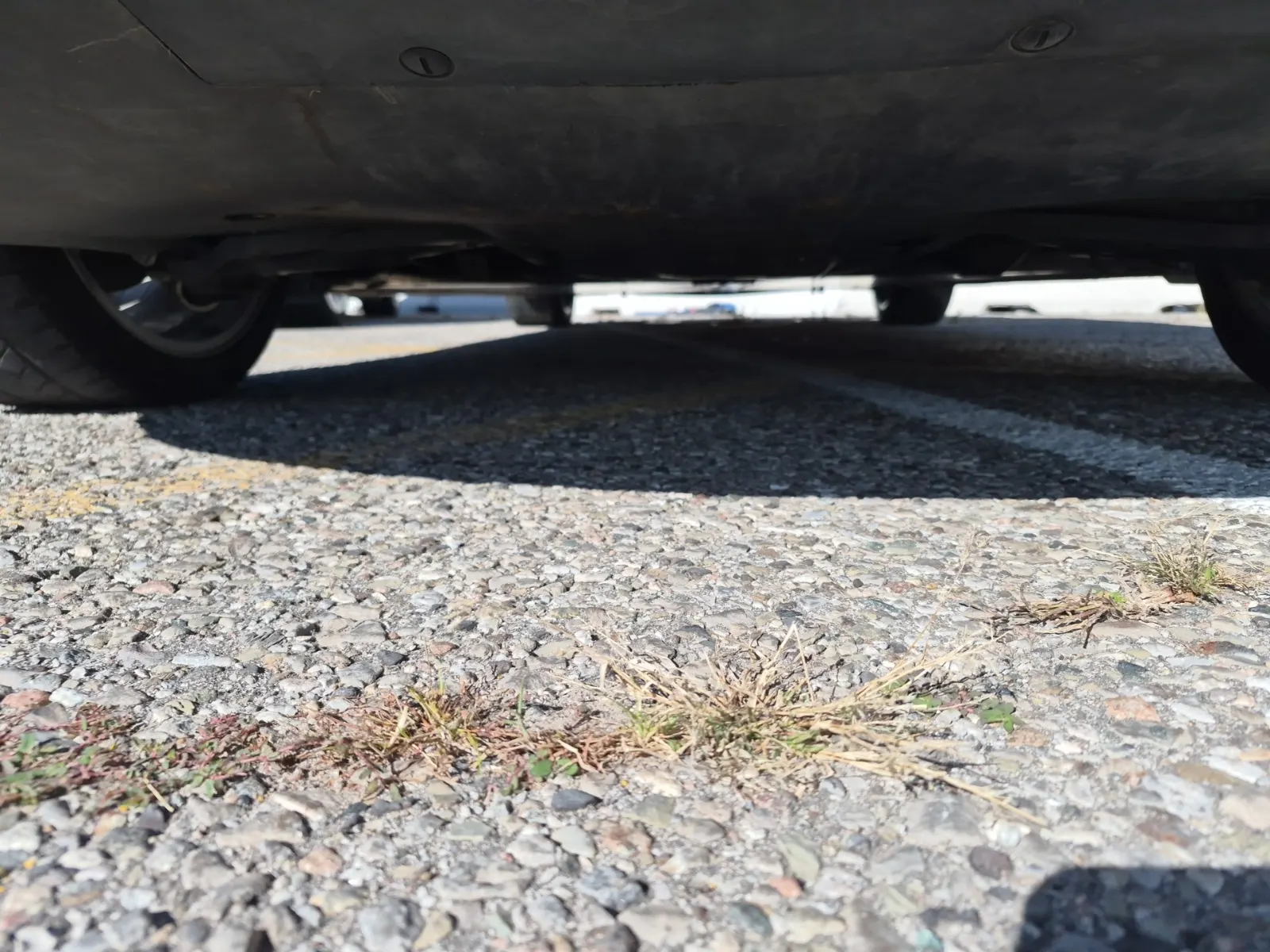 Undercarriage - Rear Photo