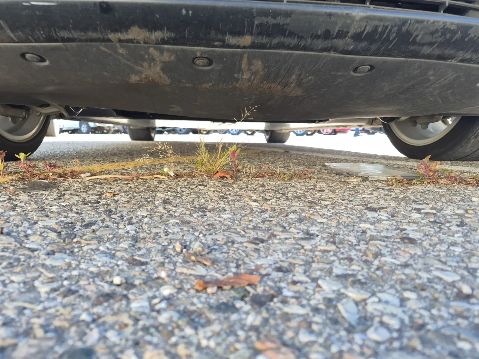 Undercarriage - Front Photo