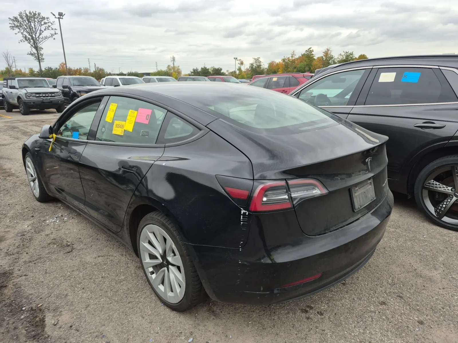 Driver Rear 3/4 Photo