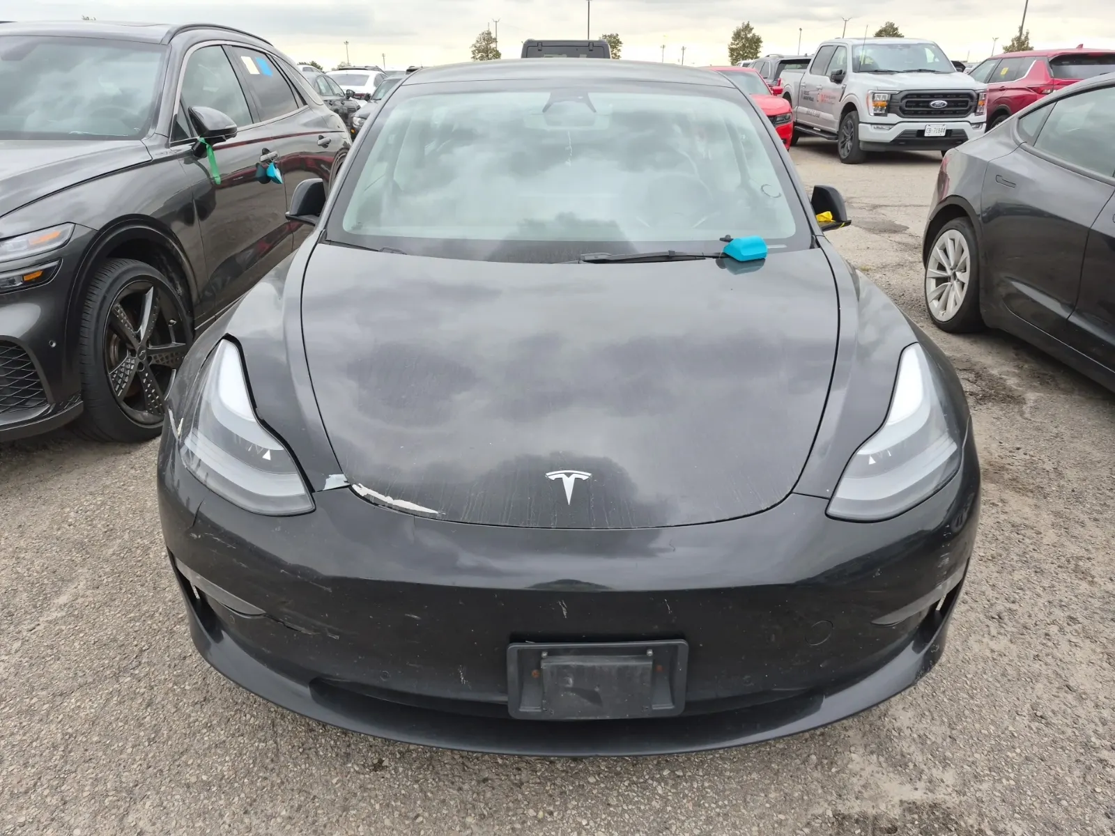 Full Front Photo