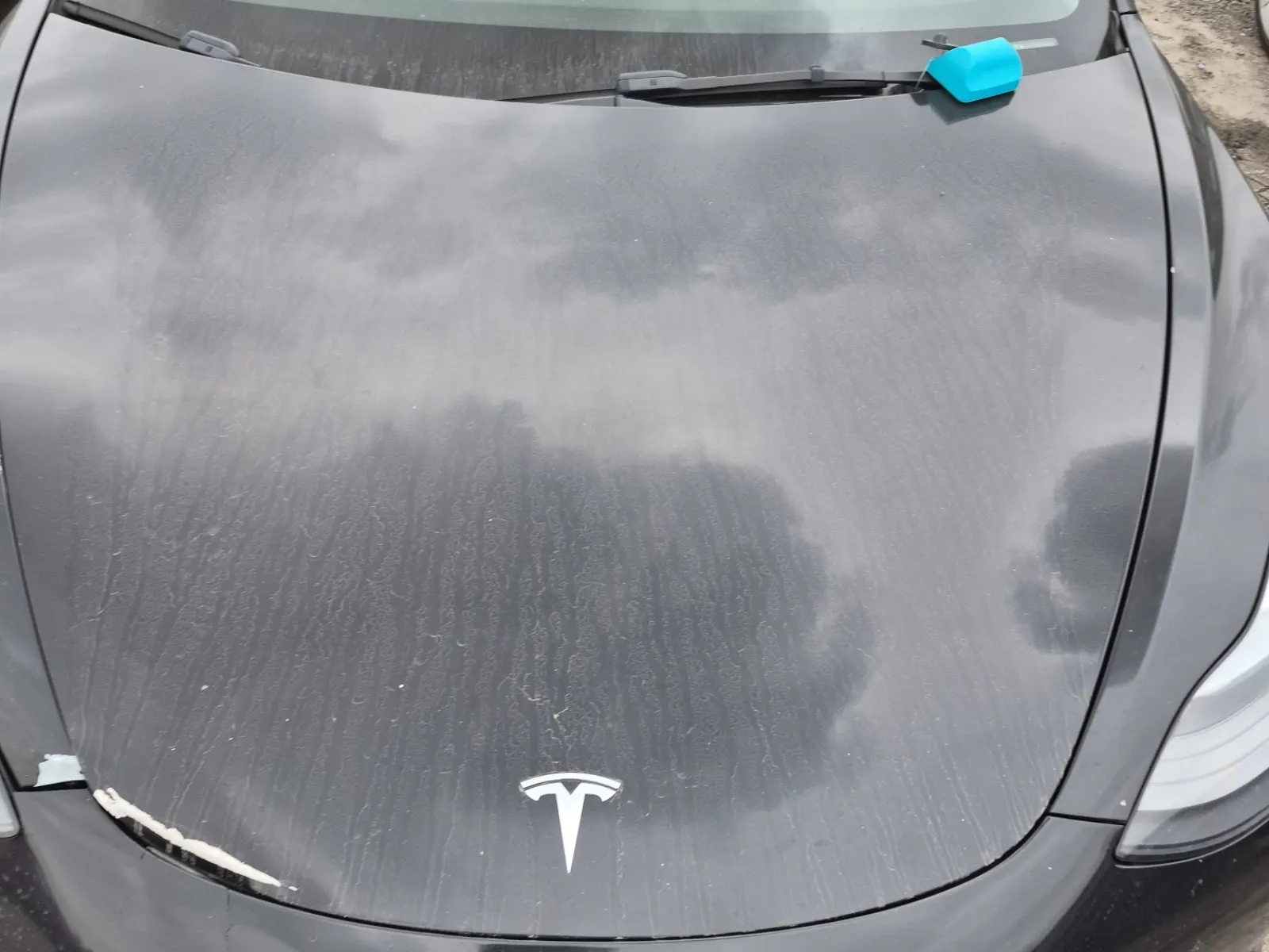 Emission Sticker Photo