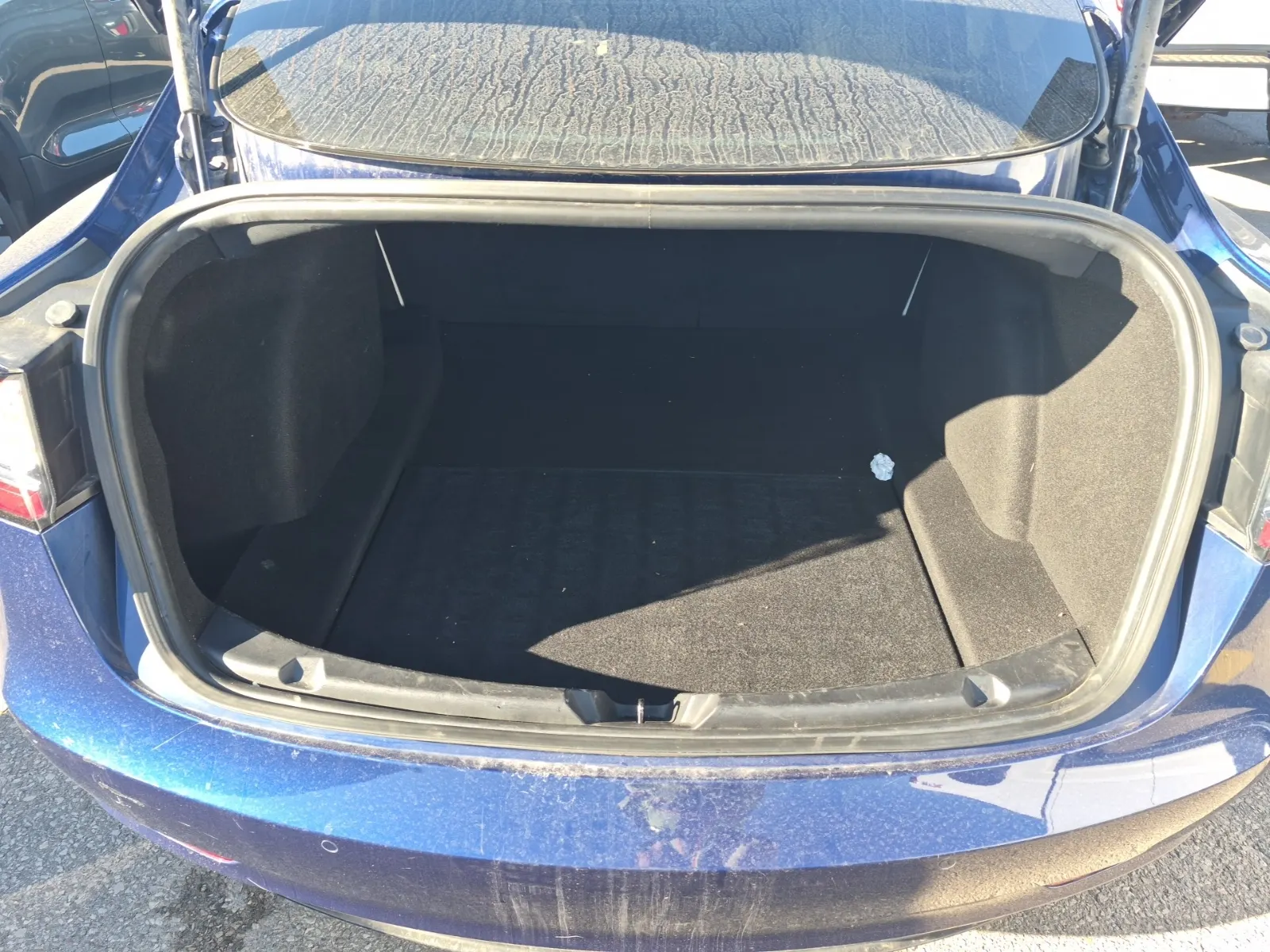 Cargo Area Photo