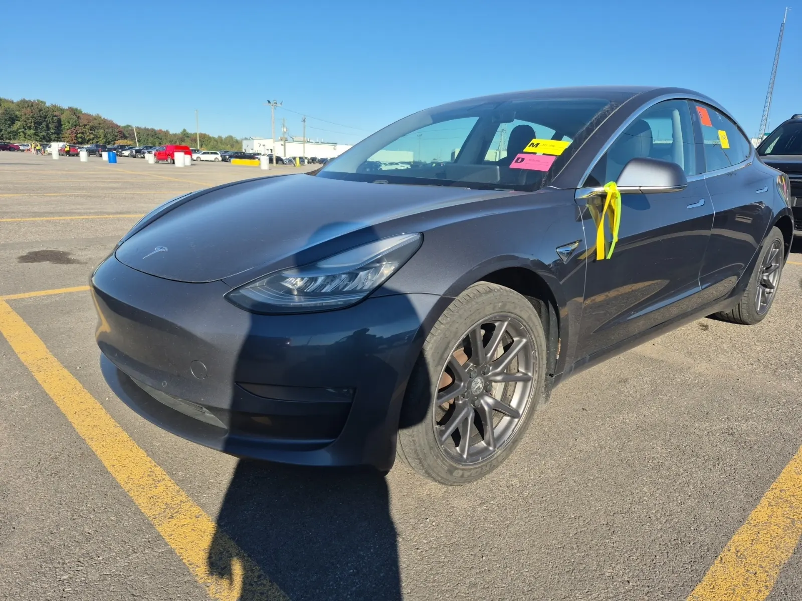 2020 Tesla Model 3