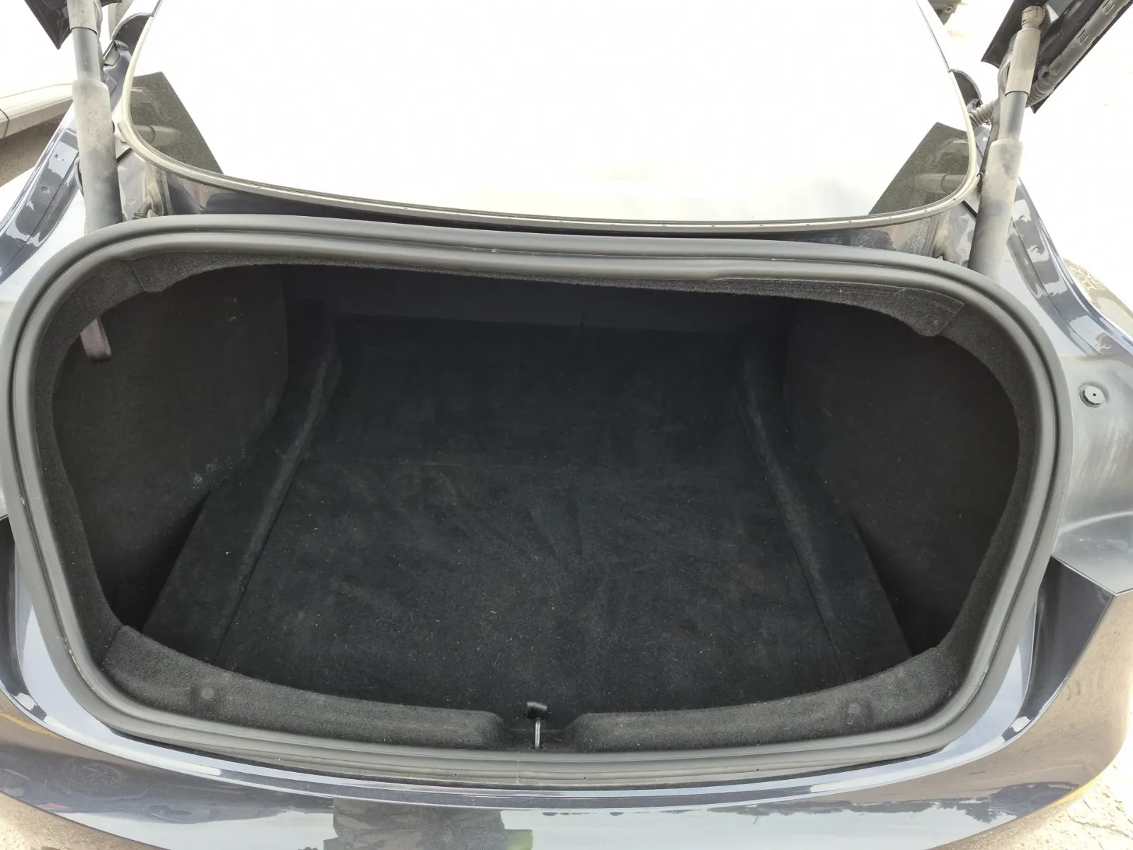 Cargo Area Photo