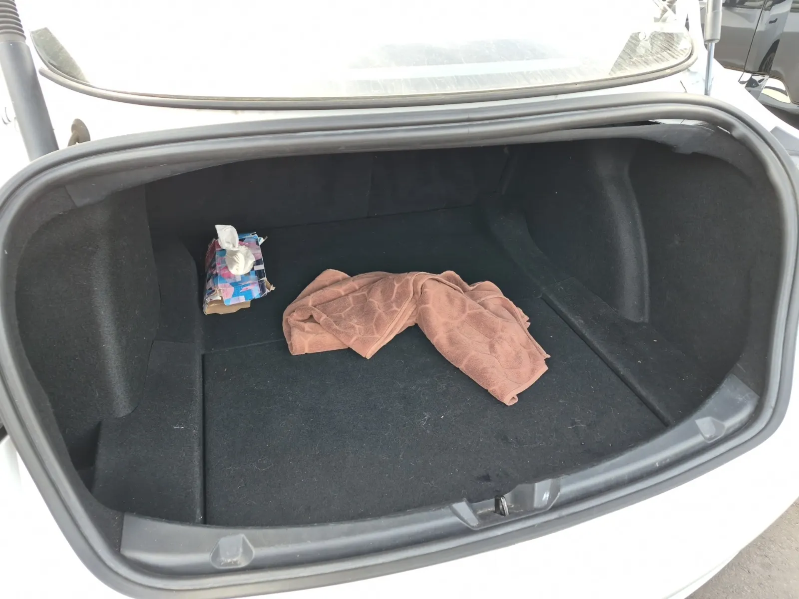 Cargo Area Photo