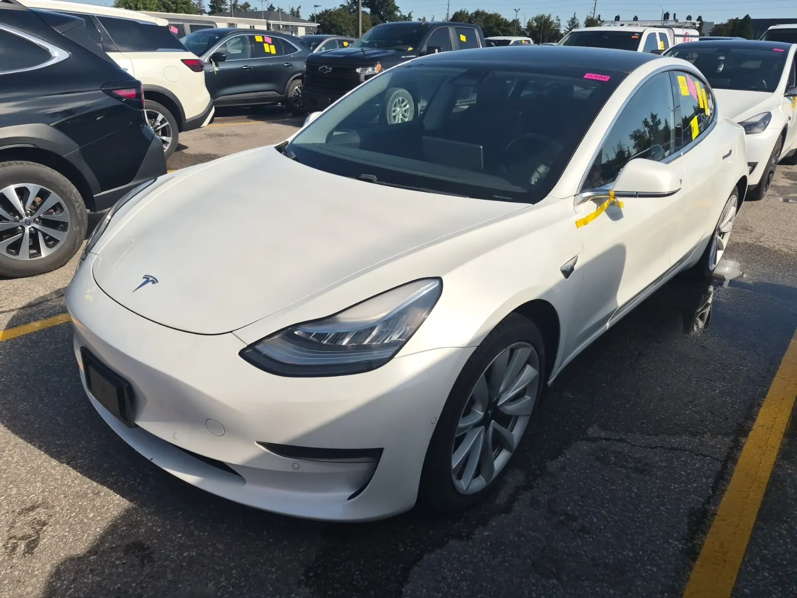 2020 Tesla Model 3