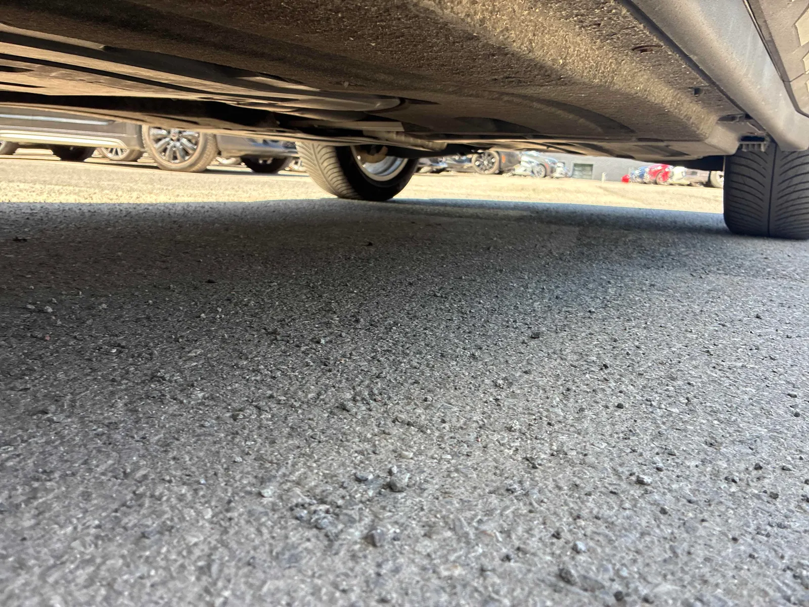 Additional Photo
