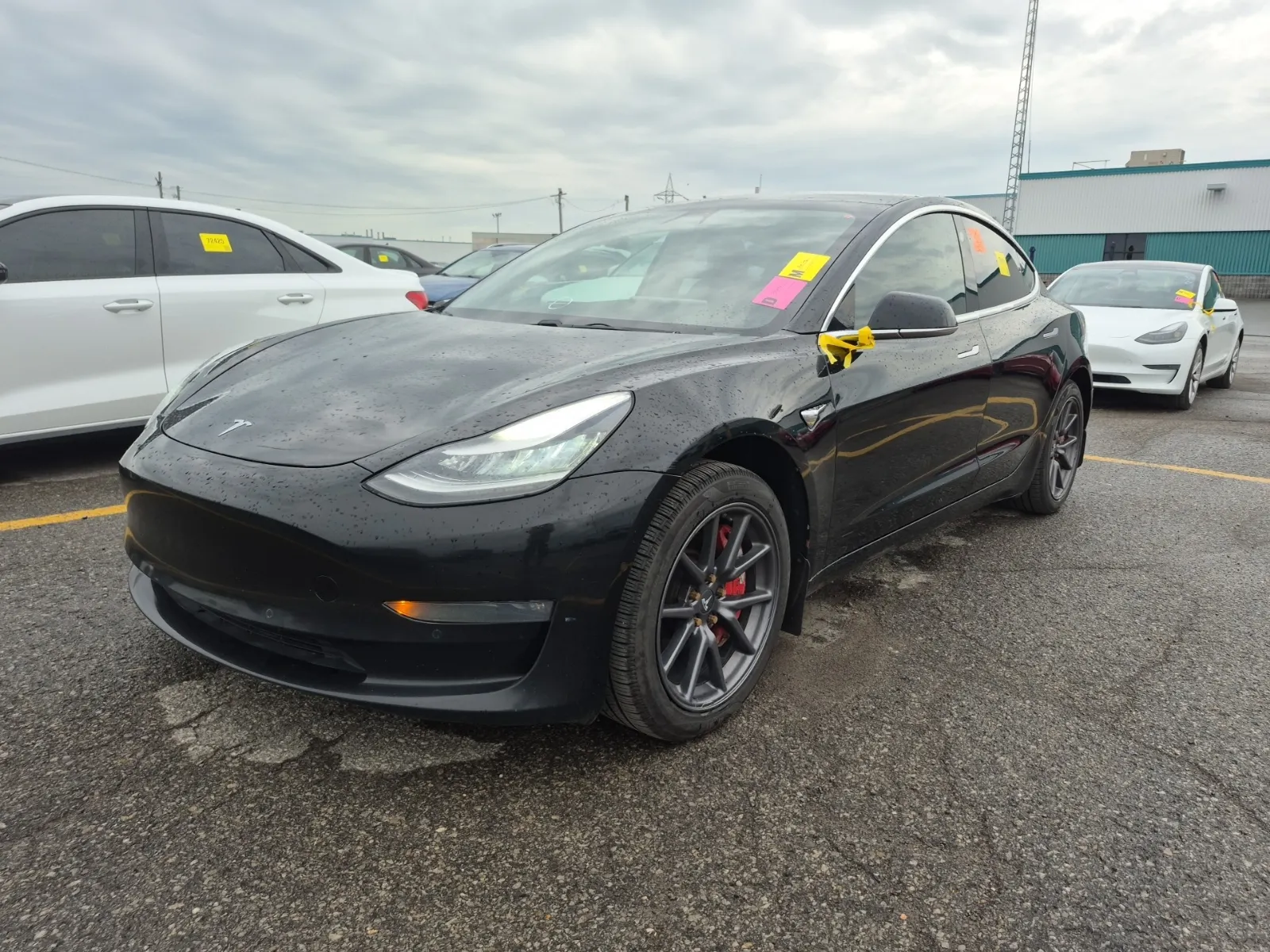 2019 Tesla Model 3