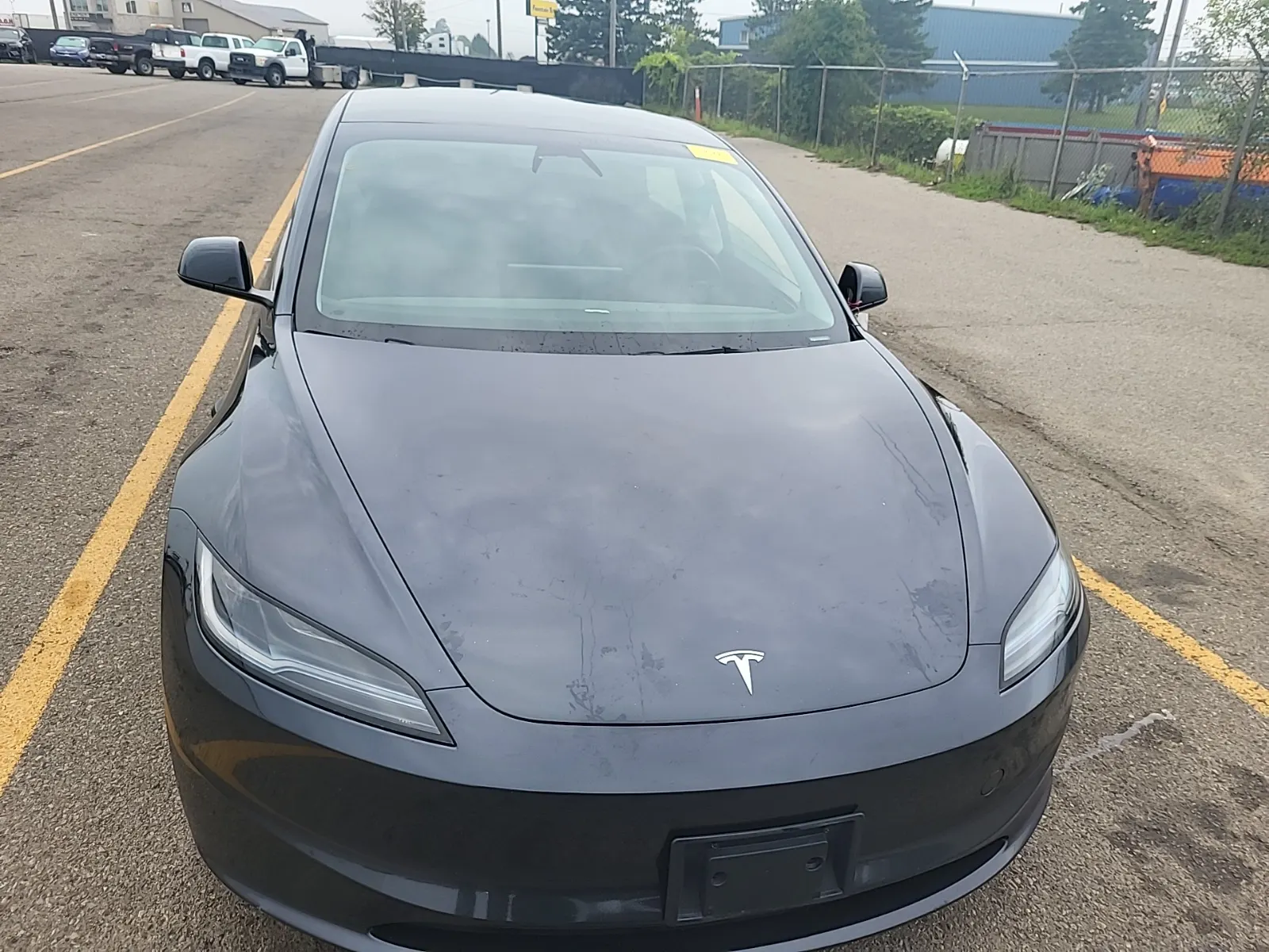 Full Front Photo