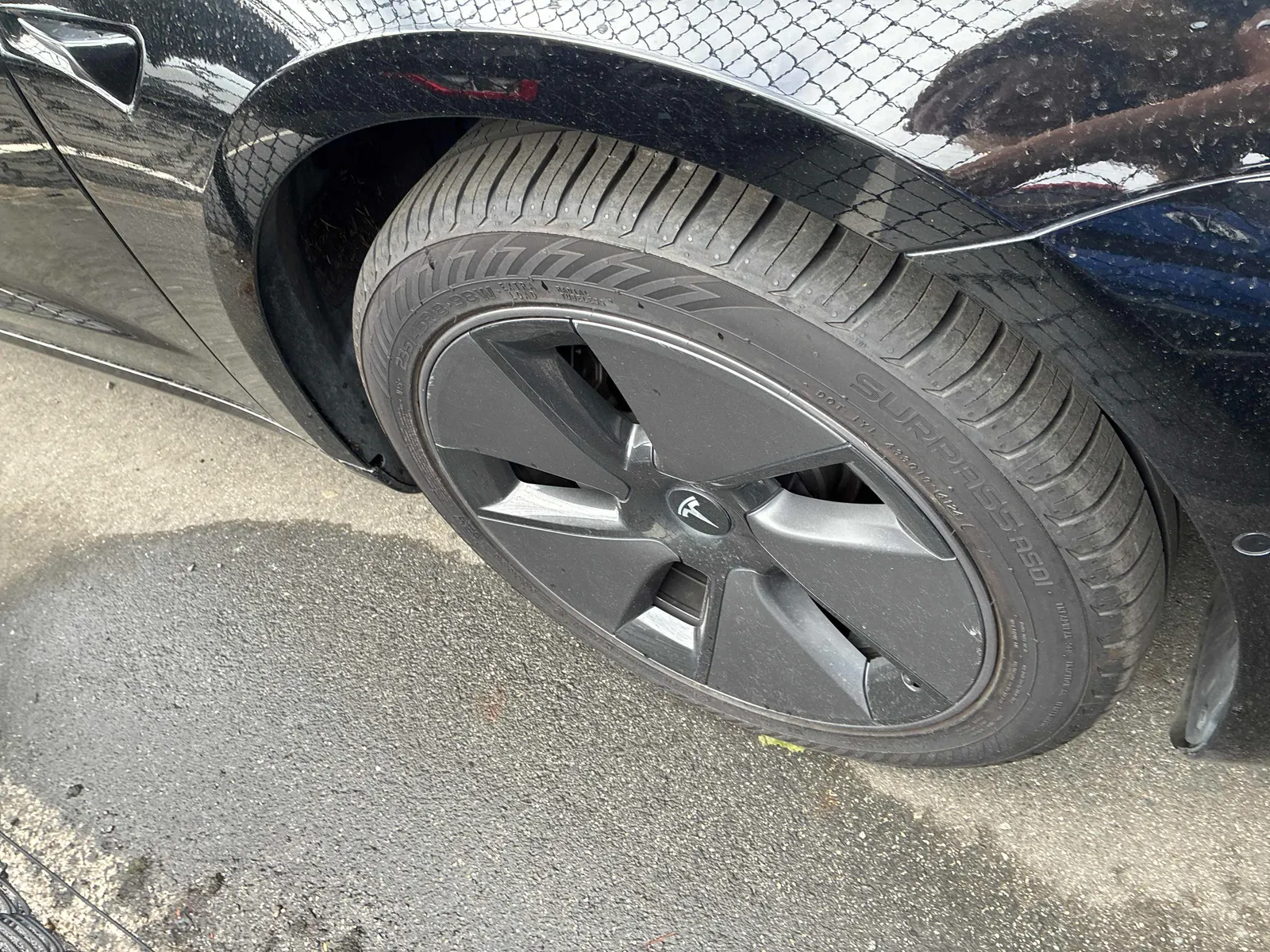 Additional Photo