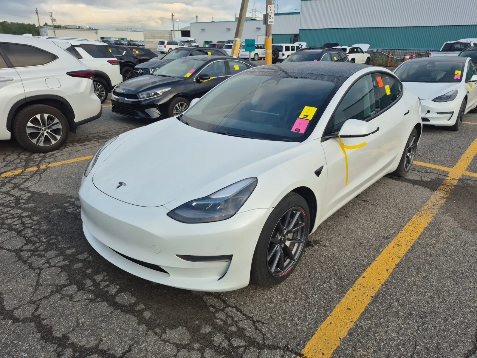 2021 Tesla Model 3