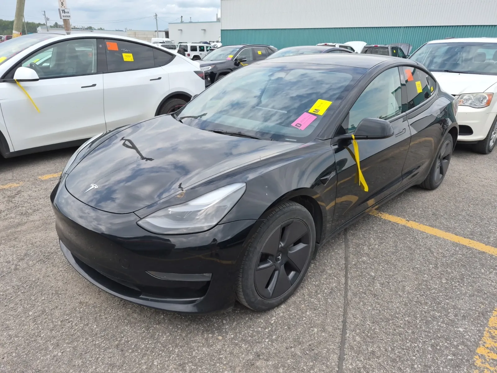 2023 Tesla Model 3