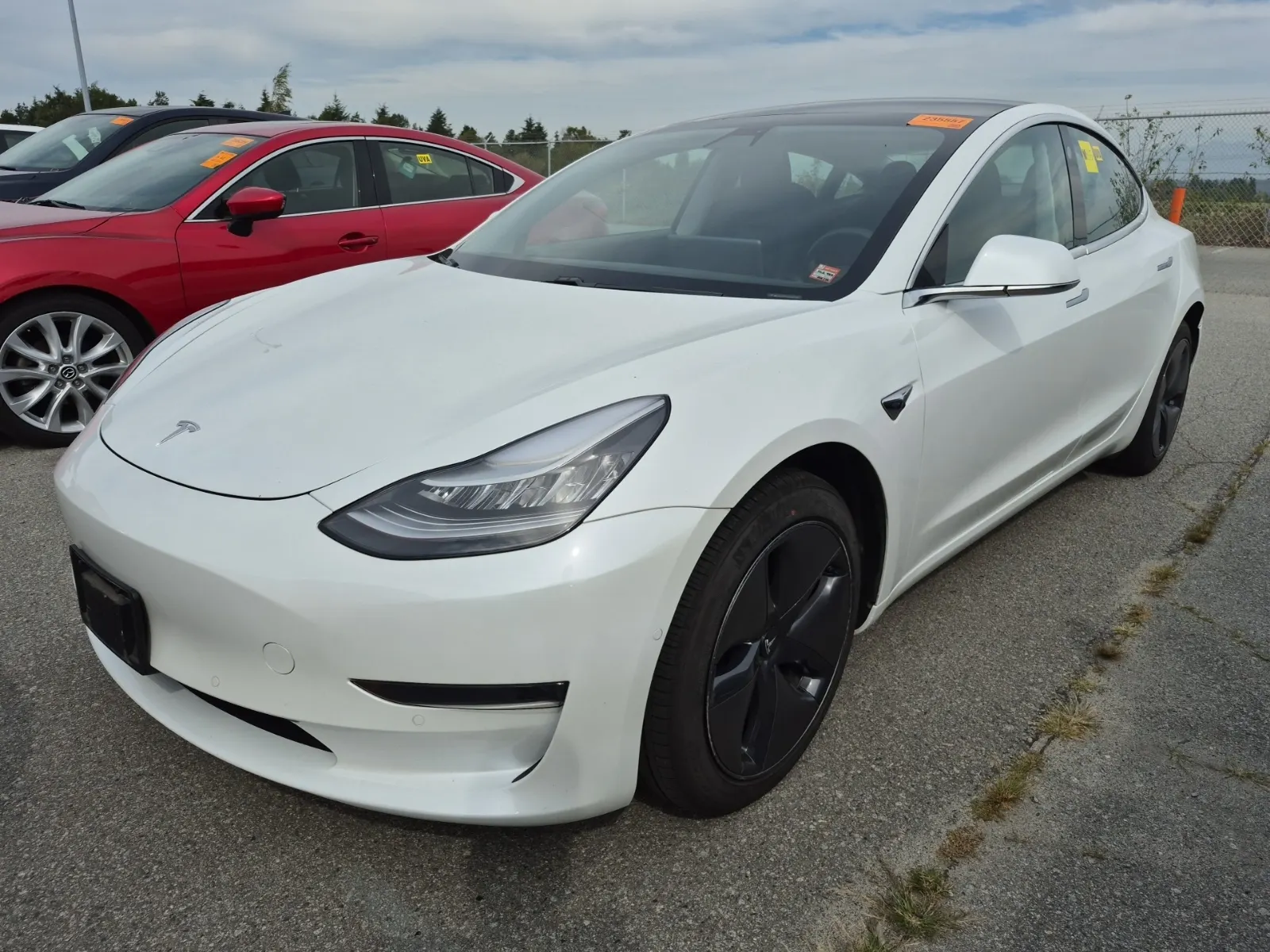 2020 Tesla Model 3
