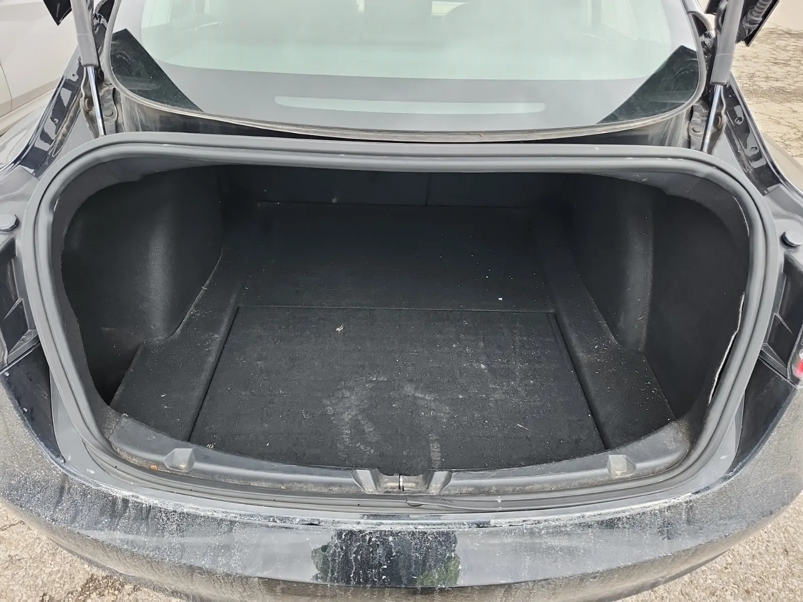 Cargo Area Photo